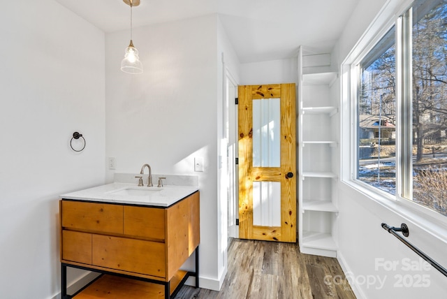 bathroom featuring wood-type flooring and sink