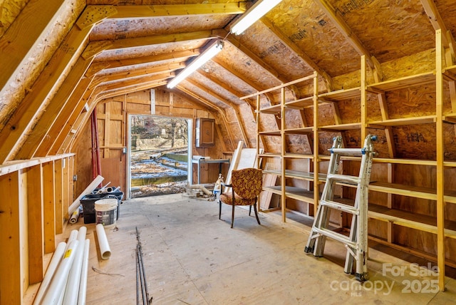 attic with electric panel