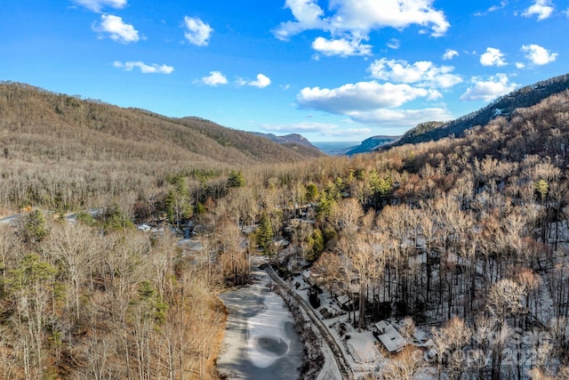 view of mountain feature