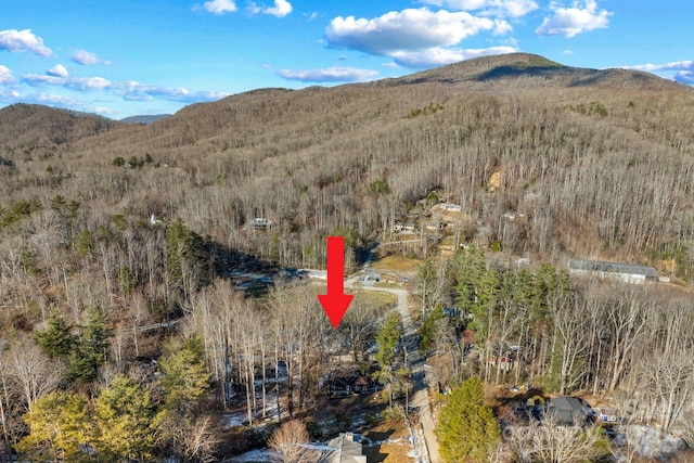 birds eye view of property with a mountain view