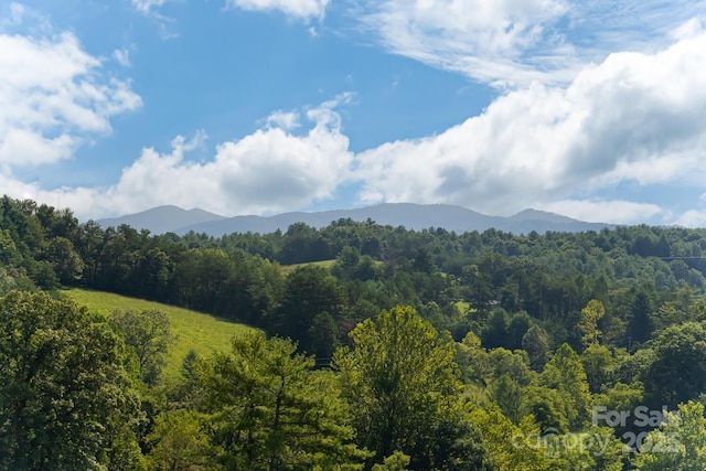 property view of mountains with a forest view