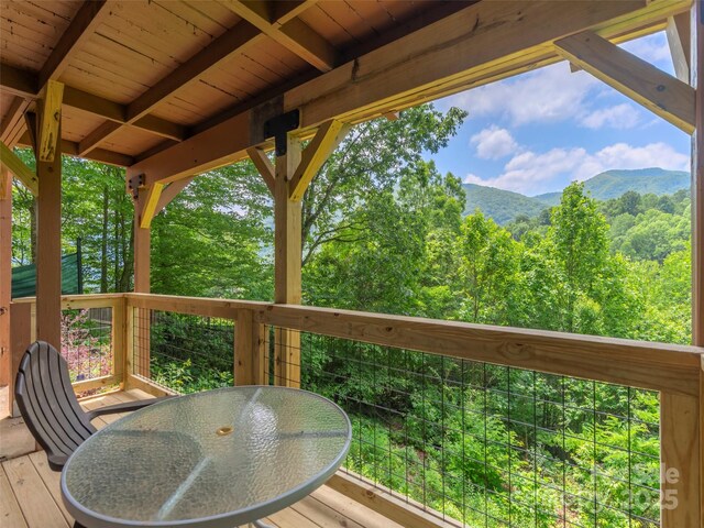 174 Pleasant Ridge Dr, Maggie Valley, NC 28751 - photo 35