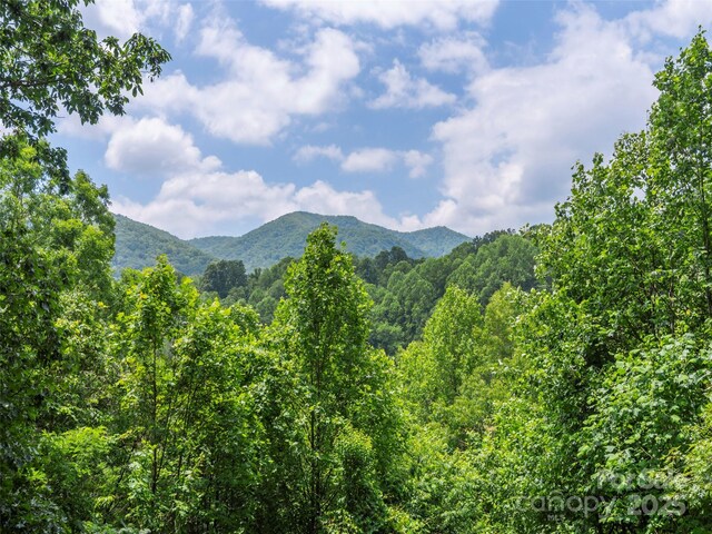 174 Pleasant Ridge Dr, Maggie Valley, NC 28751 - photo 2