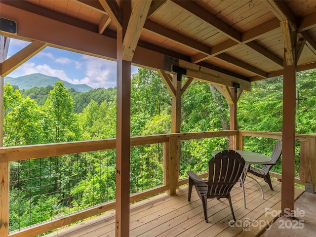 174 Pleasant Ridge Dr, Maggie Valley, NC 28751 - photo 36