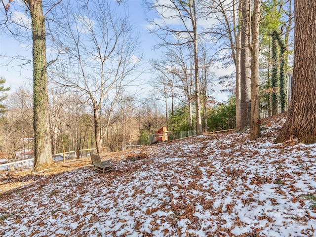 view of yard layered in snow