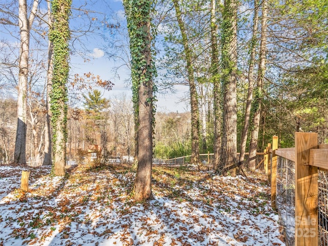 view of snowy landscape