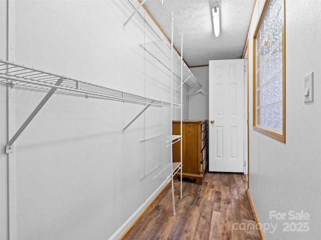 walk in closet featuring dark wood-type flooring