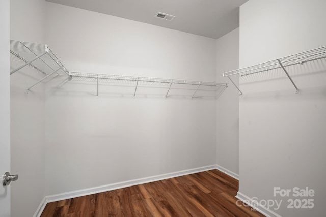 spacious closet featuring dark hardwood / wood-style floors