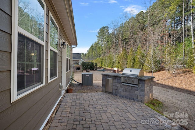 view of patio / terrace with area for grilling and exterior kitchen