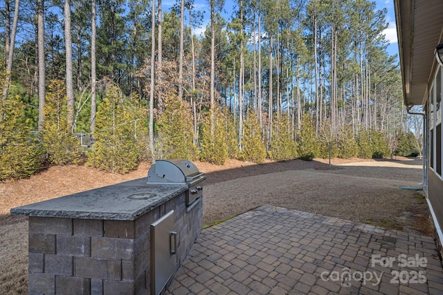 view of patio / terrace featuring area for grilling and exterior kitchen