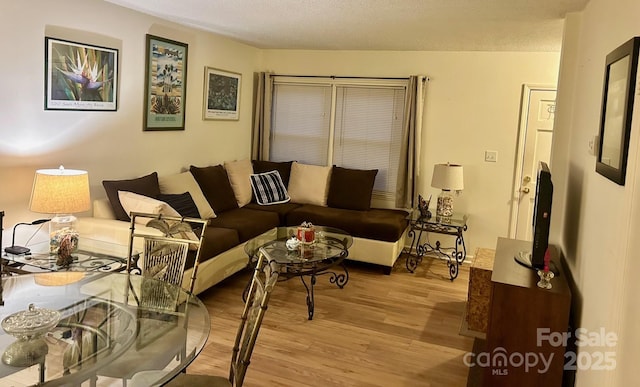 living room with light hardwood / wood-style floors and a textured ceiling