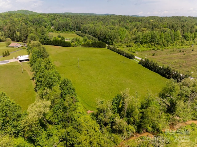 00 Berea Church Rd, Hendersonville NC, 28739 land for sale