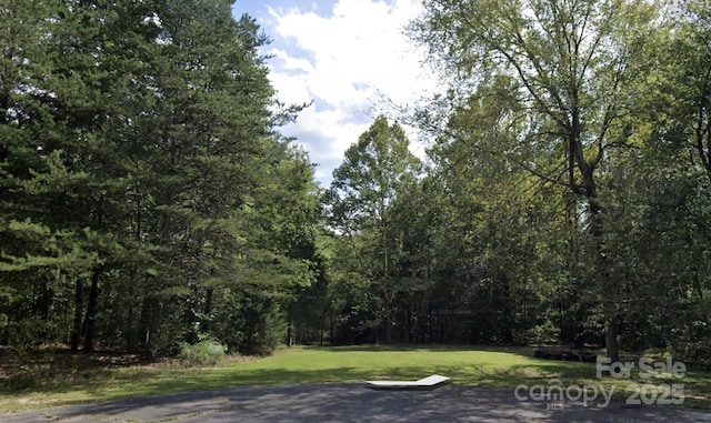 7431 Whitewash Trl Unit 8, Sherrills Ford NC, 28673 land for sale