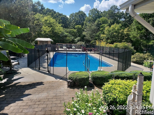 view of swimming pool with a patio