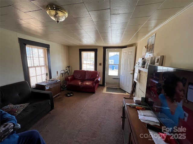 view of carpeted living room