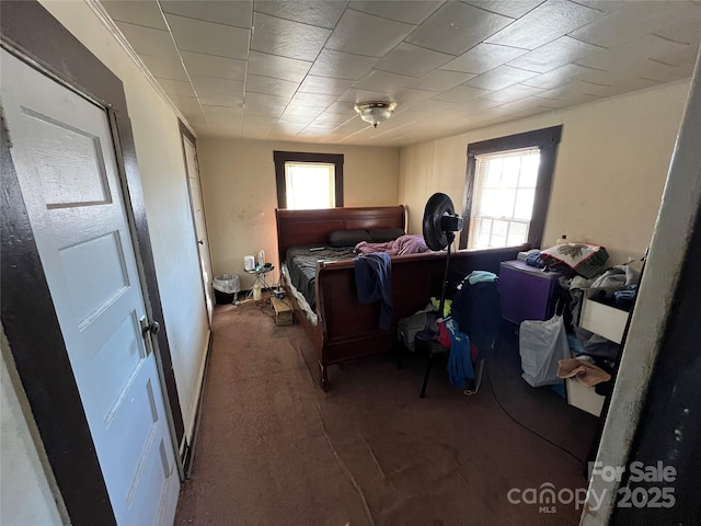 bedroom with multiple windows