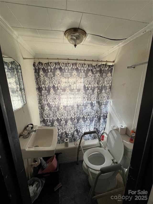 bathroom featuring toilet, crown molding, and sink