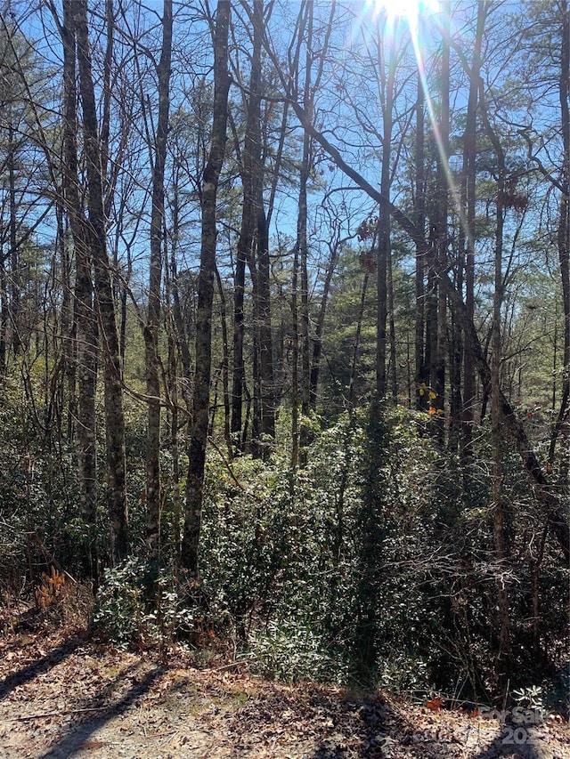 TBD Oak Laurel Rd Unit 9, Brevard NC, 28712 land for sale