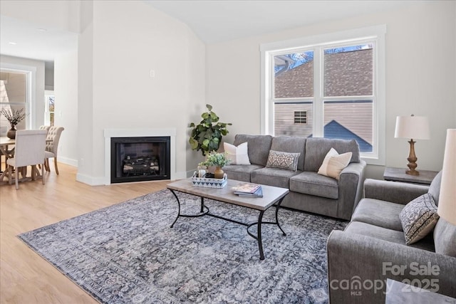 living room featuring hardwood / wood-style floors