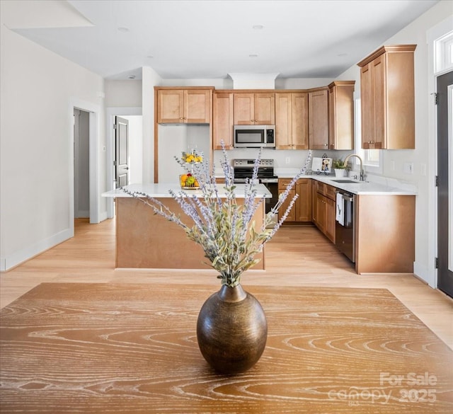 kitchen featuring sink, stainless steel appliances, and light hardwood / wood-style flooring