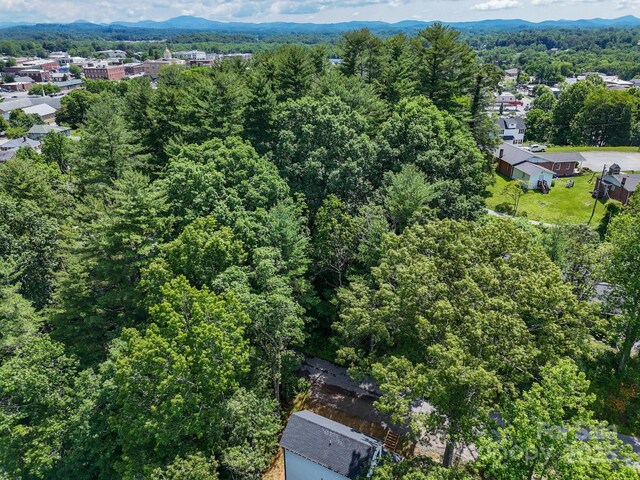 62 Toms Park Cir, Hendersonville, NC 28792 - photo 41