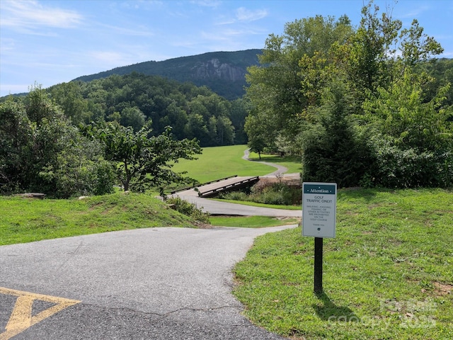 view of community featuring a mountain view and a lawn