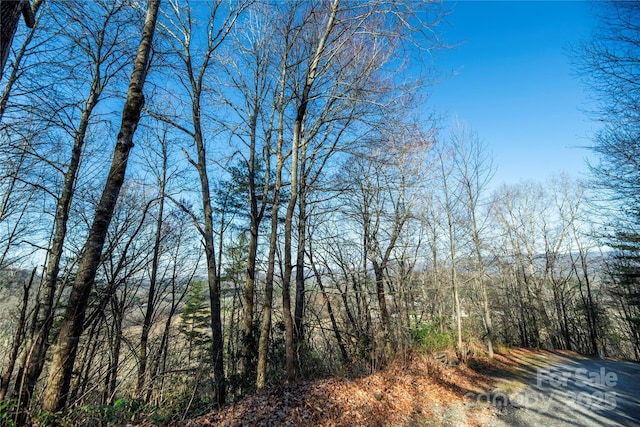 Listing photo 3 for TBD Three Mile Knob Rd Unit L1/L2/L3, Pisgah Forest NC 28768