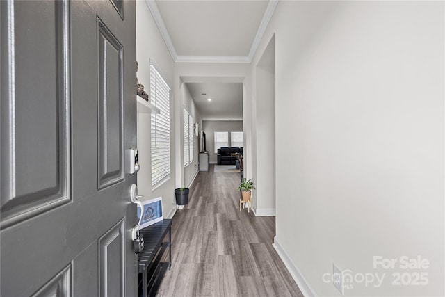 corridor featuring crown molding and hardwood / wood-style flooring