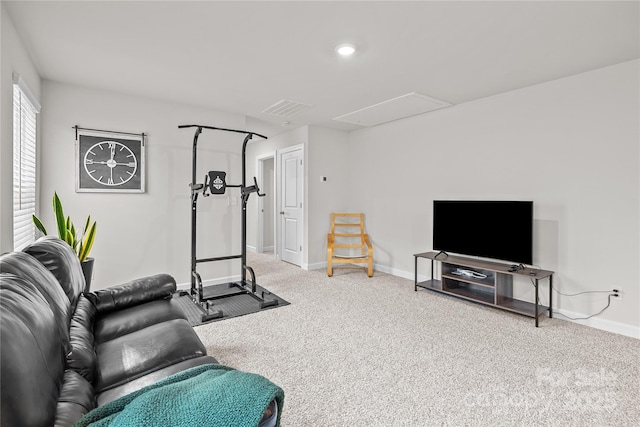 workout room featuring carpet floors