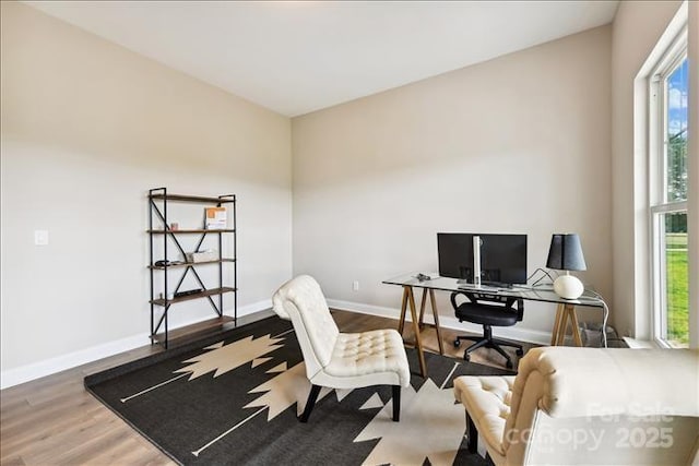 office space with hardwood / wood-style floors