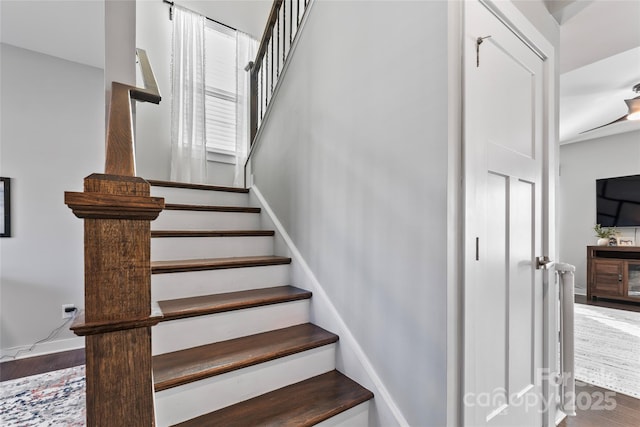 stairway with wood-type flooring