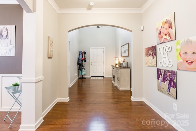 hallway featuring ornamental molding and dark hardwood / wood-style flooring