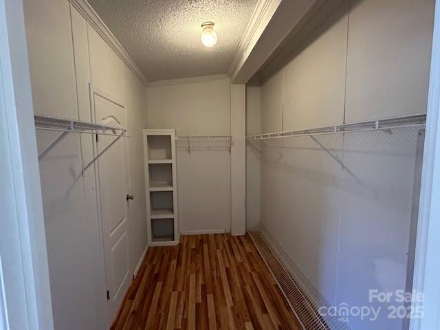 spacious closet featuring dark wood-type flooring