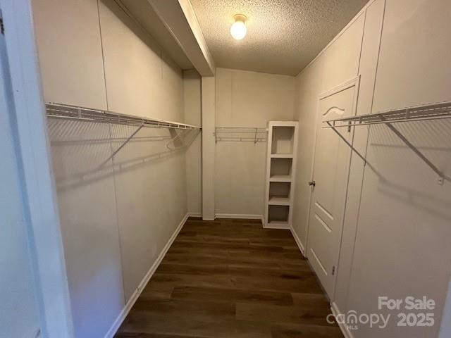 spacious closet featuring dark hardwood / wood-style flooring