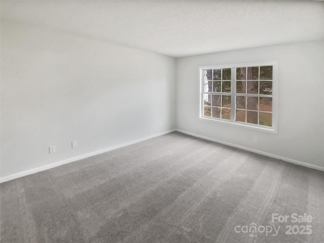 unfurnished room with carpet