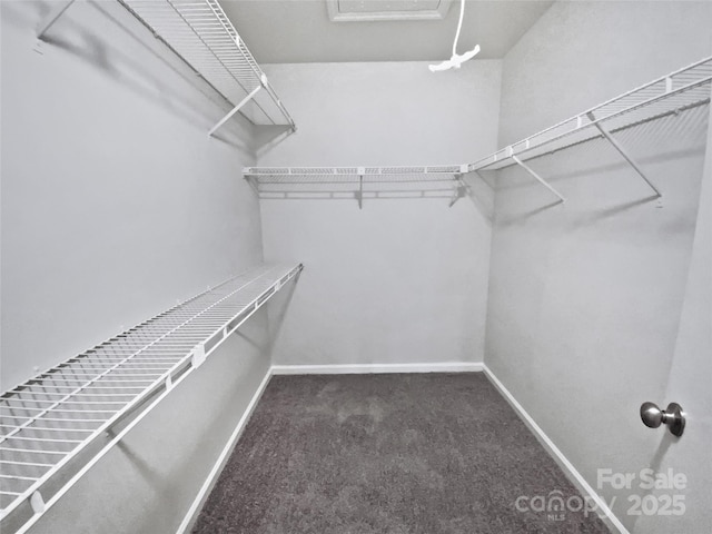 walk in closet featuring dark colored carpet