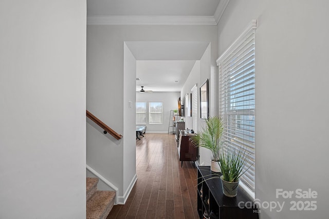 corridor with ornamental molding and dark hardwood / wood-style floors