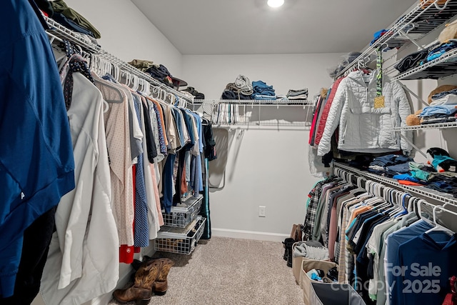 walk in closet with carpet floors