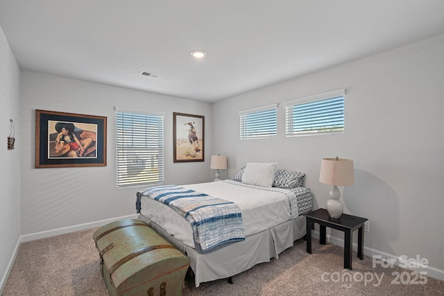 bedroom with carpet floors