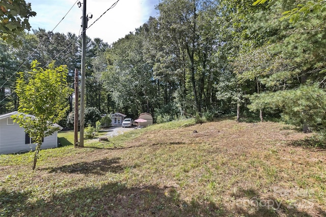 view of yard featuring a storage unit