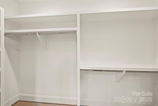 view of spacious closet