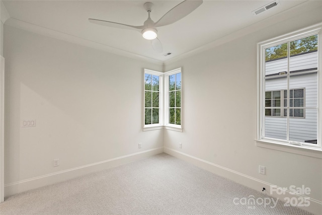 spare room featuring ceiling fan, crown molding, plenty of natural light, and carpet