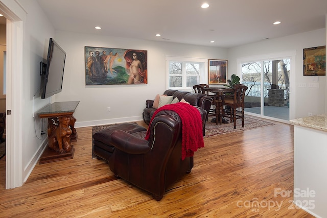 living room featuring light hardwood / wood-style floors