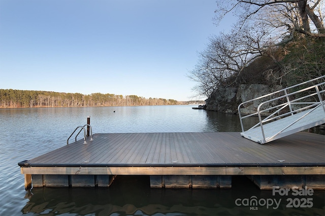 dock area with a water view