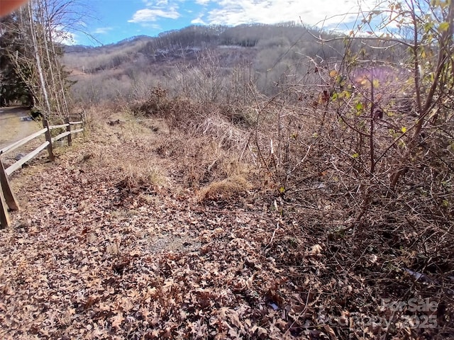 Listing photo 3 for 0000 Sunshine Cove Rd, Waynesville NC 28785