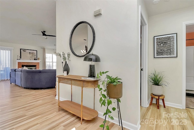 hall featuring plenty of natural light and light hardwood / wood-style floors