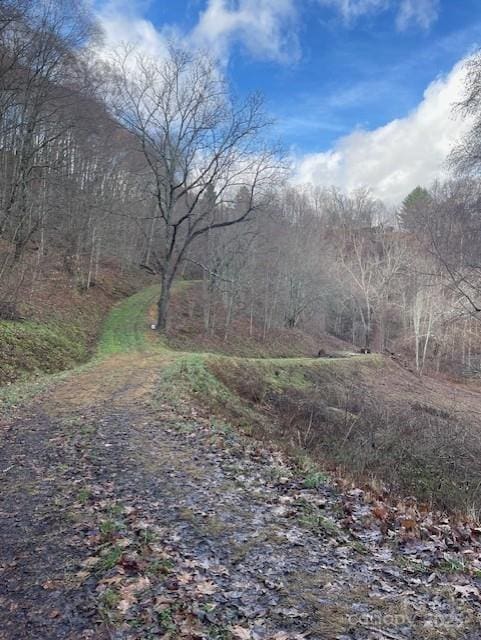 0 Hardwood Cv Unit 100, Waynesville NC 28786 LAND for sale