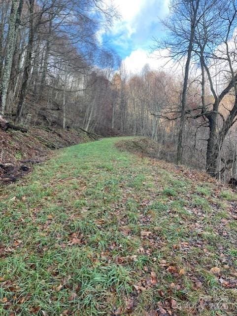 Listing photo 2 for 0 Hardwood Cv Unit 100, Waynesville NC 28785