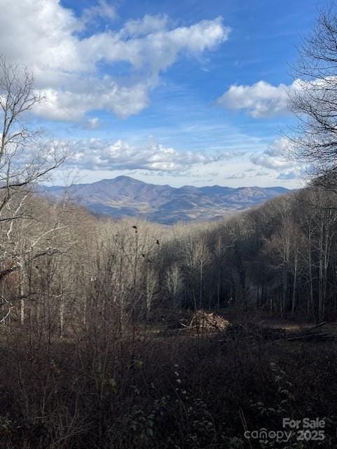 Listing photo 3 for 0 Hardwood Cv Unit 100, Waynesville NC 28785