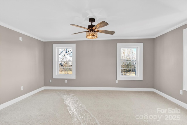 empty room with ceiling fan, plenty of natural light, ornamental molding, and carpet flooring